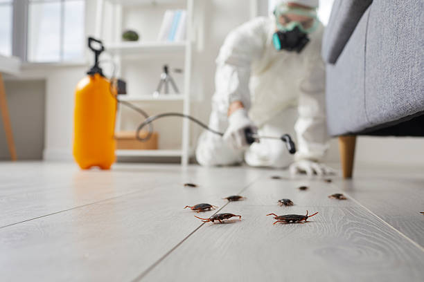 Commercial Kitchen Cockroach Control in Washoe Valley
